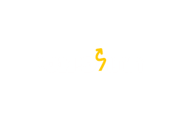 חתול פיננסי
